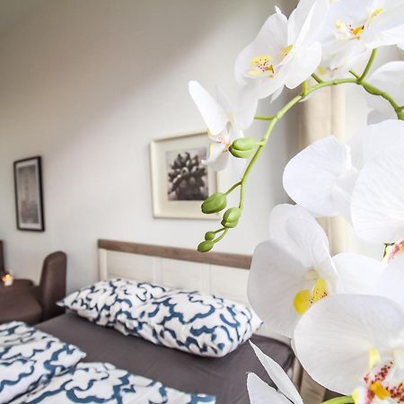 Comfortable Accommodations In The Alterlaa Area Lv6 เวียนนา ภายนอก รูปภาพ