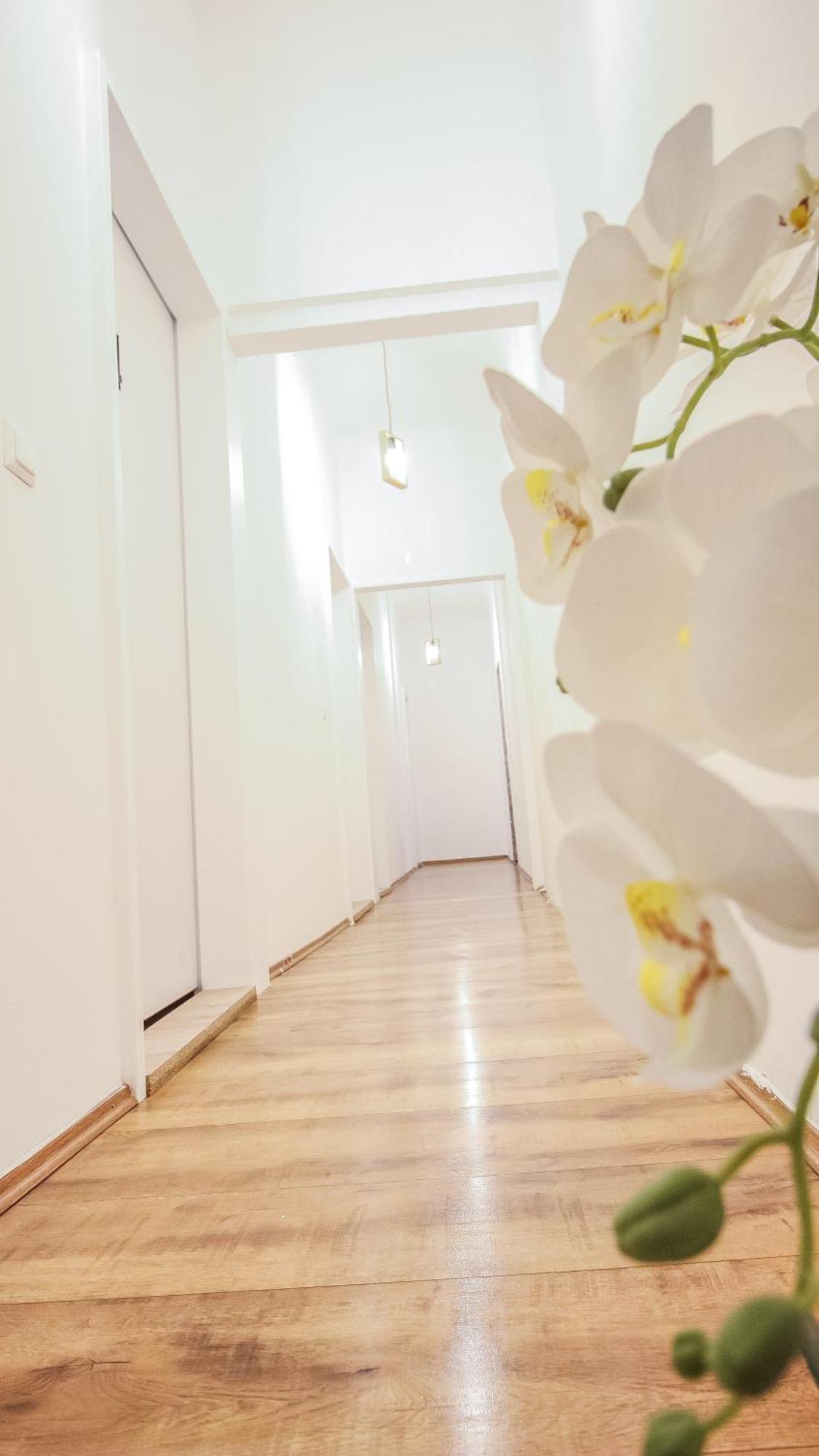 Comfortable Accommodations In The Alterlaa Area Lv6 เวียนนา ภายนอก รูปภาพ