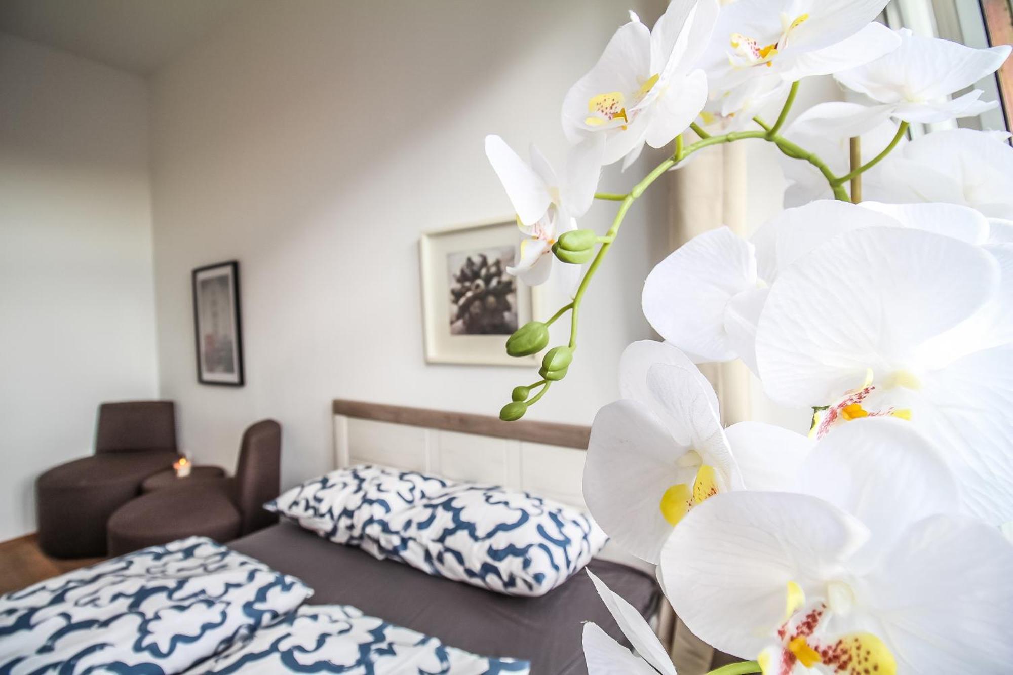 Comfortable Accommodations In The Alterlaa Area Lv6 เวียนนา ภายนอก รูปภาพ